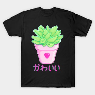 Succiboy T-Shirt